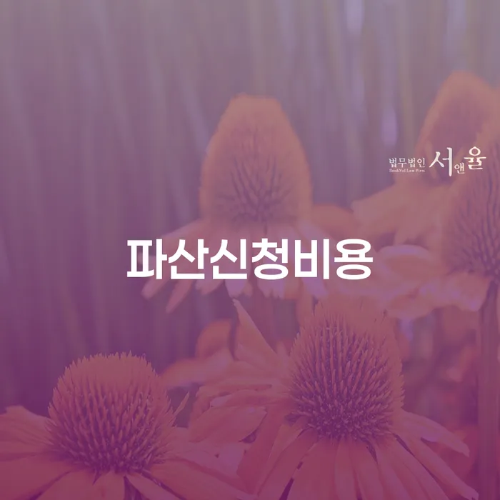 개인파산개인회생 카드빚 연체 잘 하는 곳