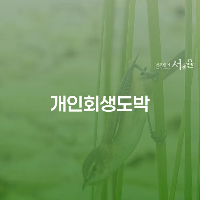 개인회생 수임료 저렴하고 대출 연체 개인회생 궁금하다면