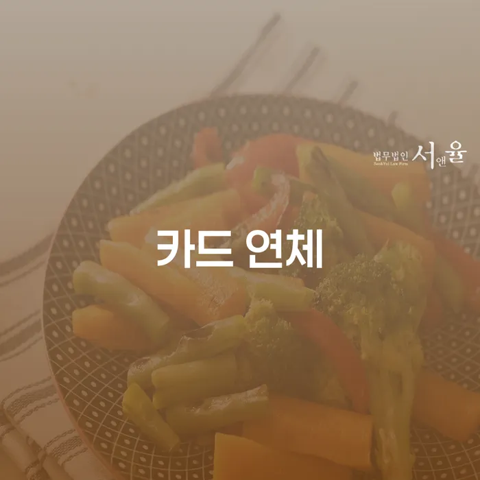 개인회생변제금미납 개인회생으로 해결방법 견적체크