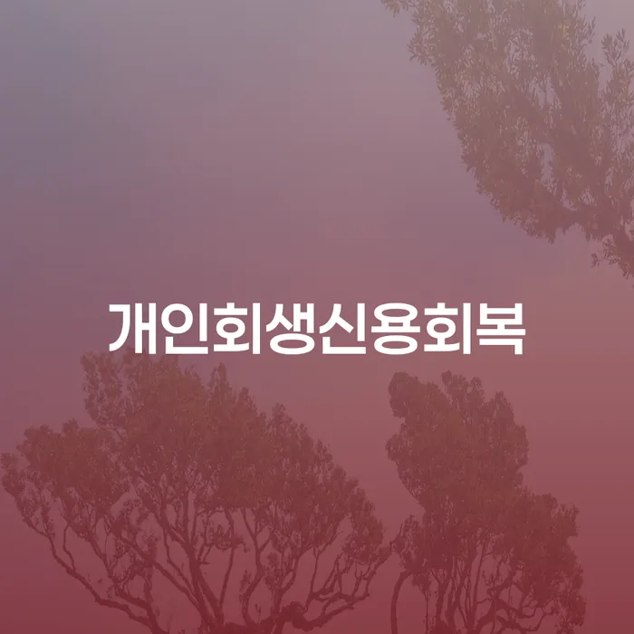 서산시 개인회생분납 개인회생으로 해결방법 문제를 해결