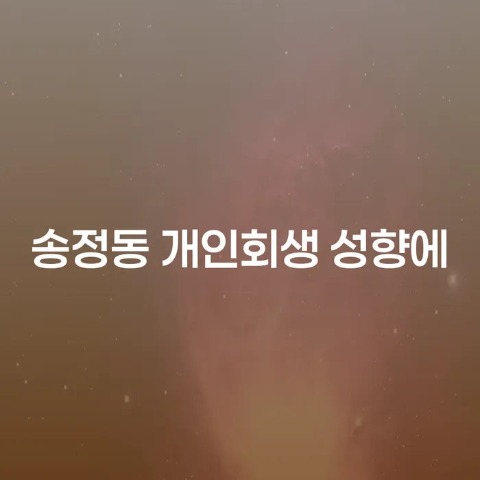 송정동 개인회생 성향에