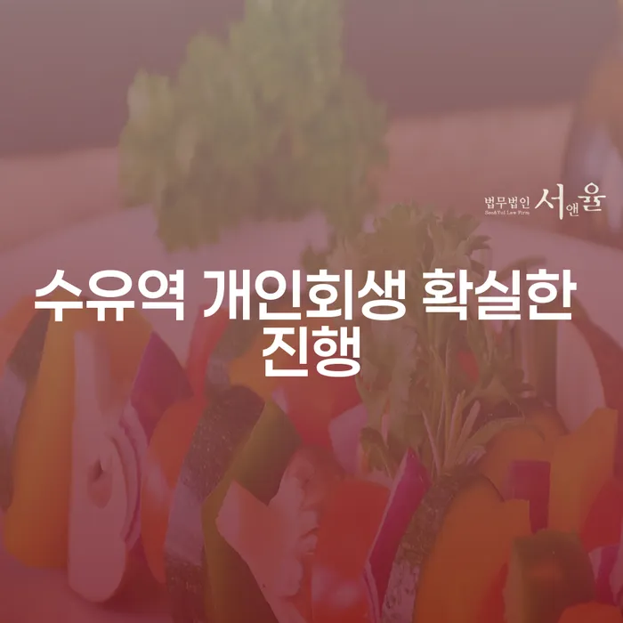 수유역 개인회생 확실한 진행