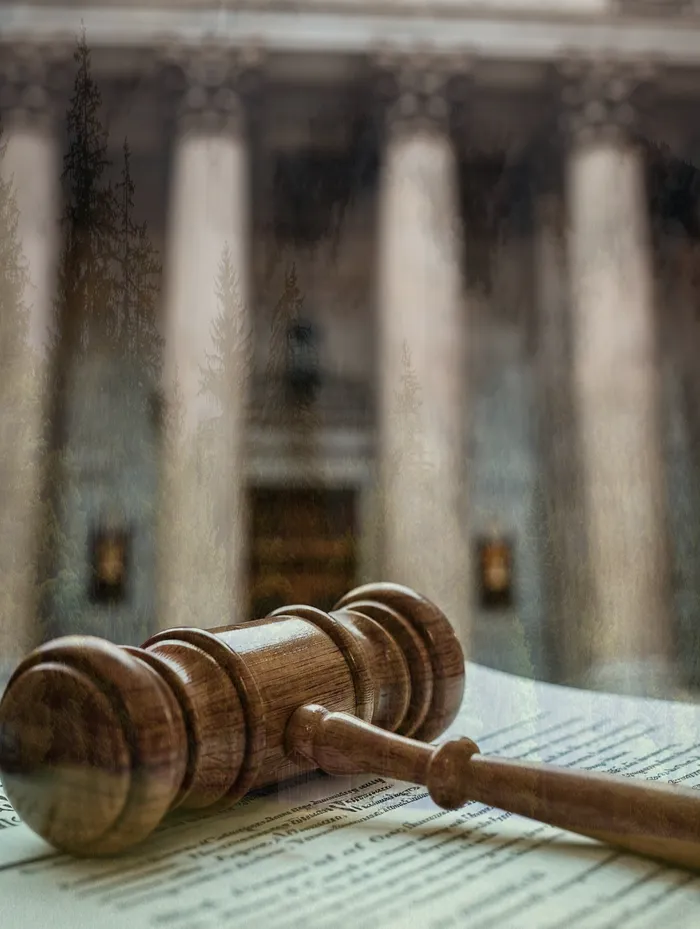 신용회복위원회채무조정